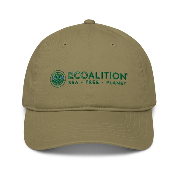 Ecoalition Organic Baseball Cap - Color: Jungle