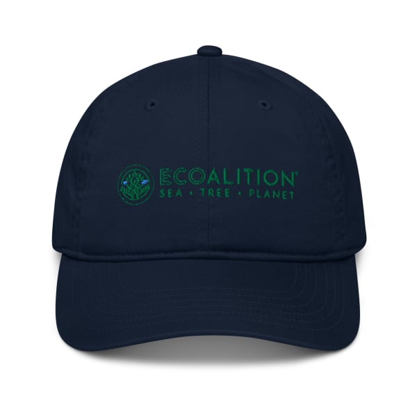 Ecoalition Organic Baseball Cap - Color: Pacific
