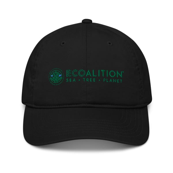 Ecoalition Organic Baseball Cap - Color: Black