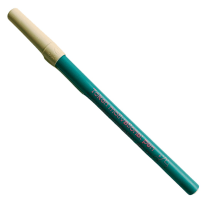 Token Motivational Pen: "You Can Probably Do It" Ballpoint Teal Pen | Gen Z Aesthetic Blue Ink