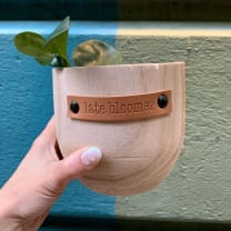 Late Bloomer Paulownia Wood Planter | 5" Tall