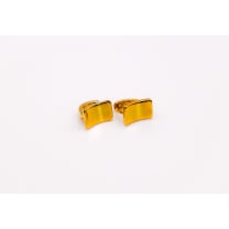 Golden Lock Rectangle Earrings