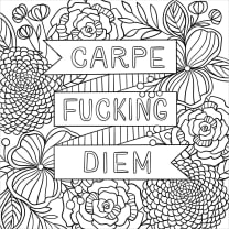 Inner F*cking Peace Adult Coloring Book | Unfiltered Art Therapy Book