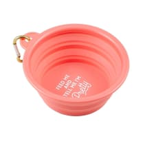 Feed Me and Tell Me I'm Pretty Collapsible Pet Bowl with Hanging Clip