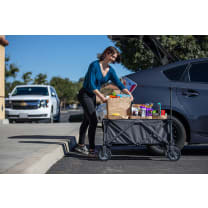 Adventure Wagon Portable Utility Wagon