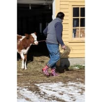 Last Call! Busy Making A Fucking Difference Men's Crew Socks