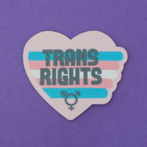 Trans Rights Iron On Patch