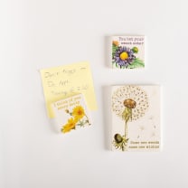 I Think of You Every Daisy Magnet Set | 3 Magnets on a Metal Gift Backing