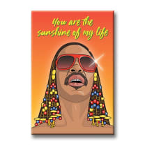 You Are The Sunshine Stevie Wonder Magnet