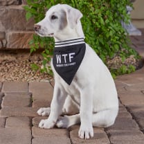 WTF - Where's The Food? Pet Bandana in Black | Cotton Pet Accessory | 9" x 6"