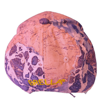 Brella 2015 Purple Rose Unisex Waterproof Hat