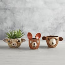 Bear Face Planter - Small | Ceramic Succulents Pot | 4" Tall