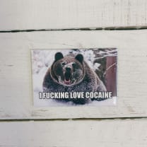 I Fucking Love Cocaine Bear Themed Fridge Magnet