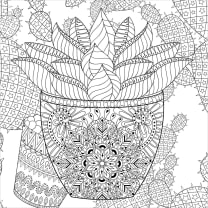 Succulents Adult Coloring Book | 31 Relaxing Plants Illustrations