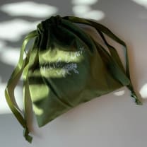 Velvet Claws Hair Clip | Coquette Bow in Green | Claw Clip in Velvet Travel Bag