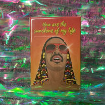 You Are The Sunshine Stevie Wonder Magnet