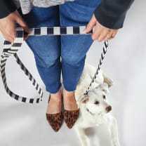 Dog Collar and Leash in Cabana Black and White Stripes | Faux Saffiano Leather