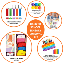 IN-SCHOOL SENSORY SURVIVAL KIT