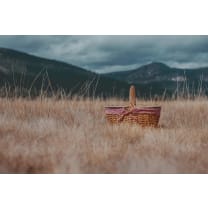 Country Picnic Basket