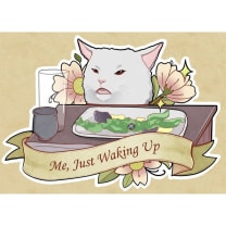 Me Just Waking Up Disgruntled Cat + My Anxiety and Depression Meme Stickers Set