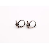 Whimsical White Gold Horseshoe Earrings