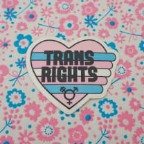 Trans Rights Vinyl Sticker