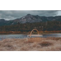 Cinderella - Country Picnic Basket