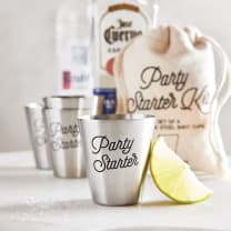 Party Starter Stainless Steel Shot Cups | Set of 4 in Gift Bag