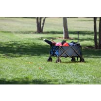 Adventure Wagon Portable Utility Wagon