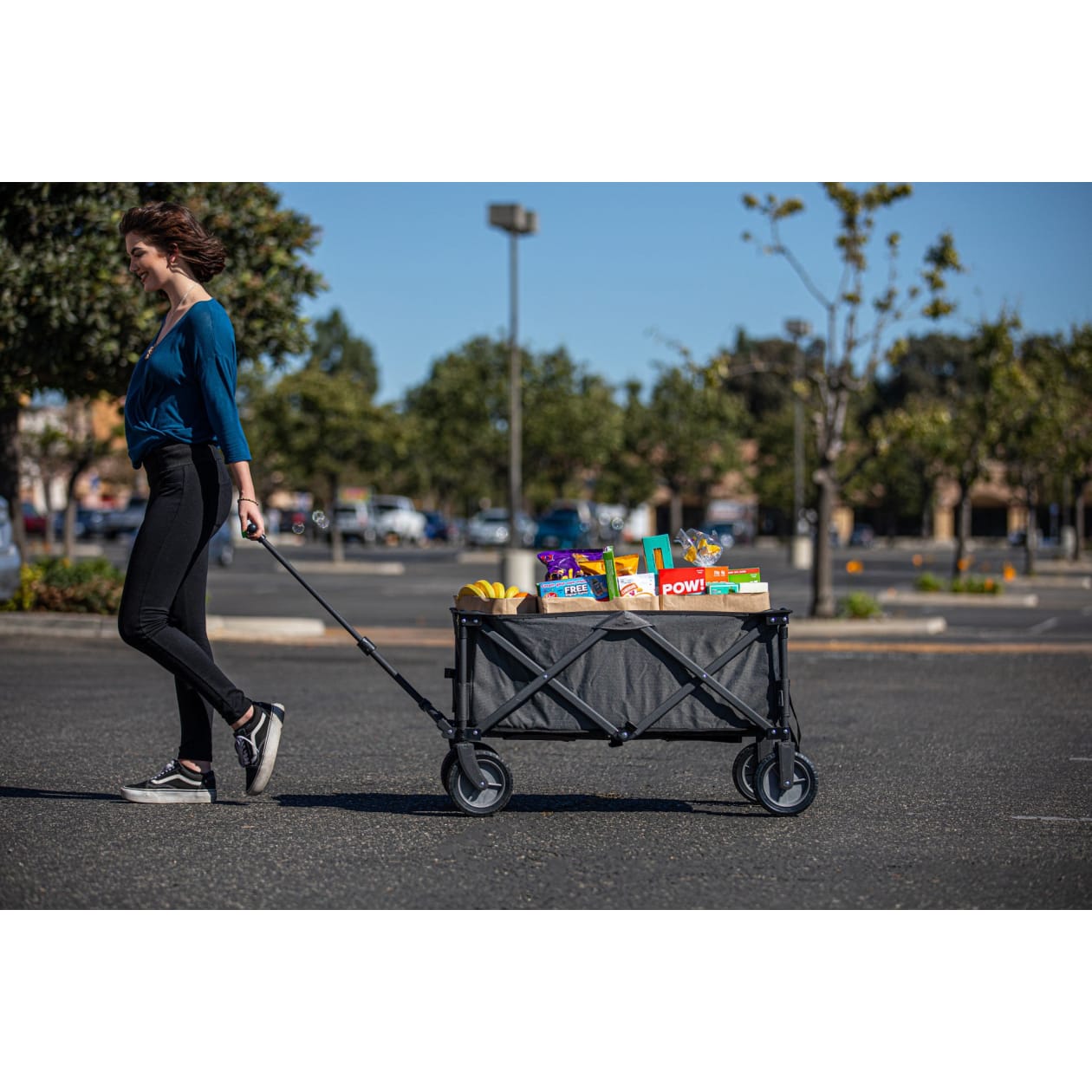 Adventure Wagon Portable Utility Wagon