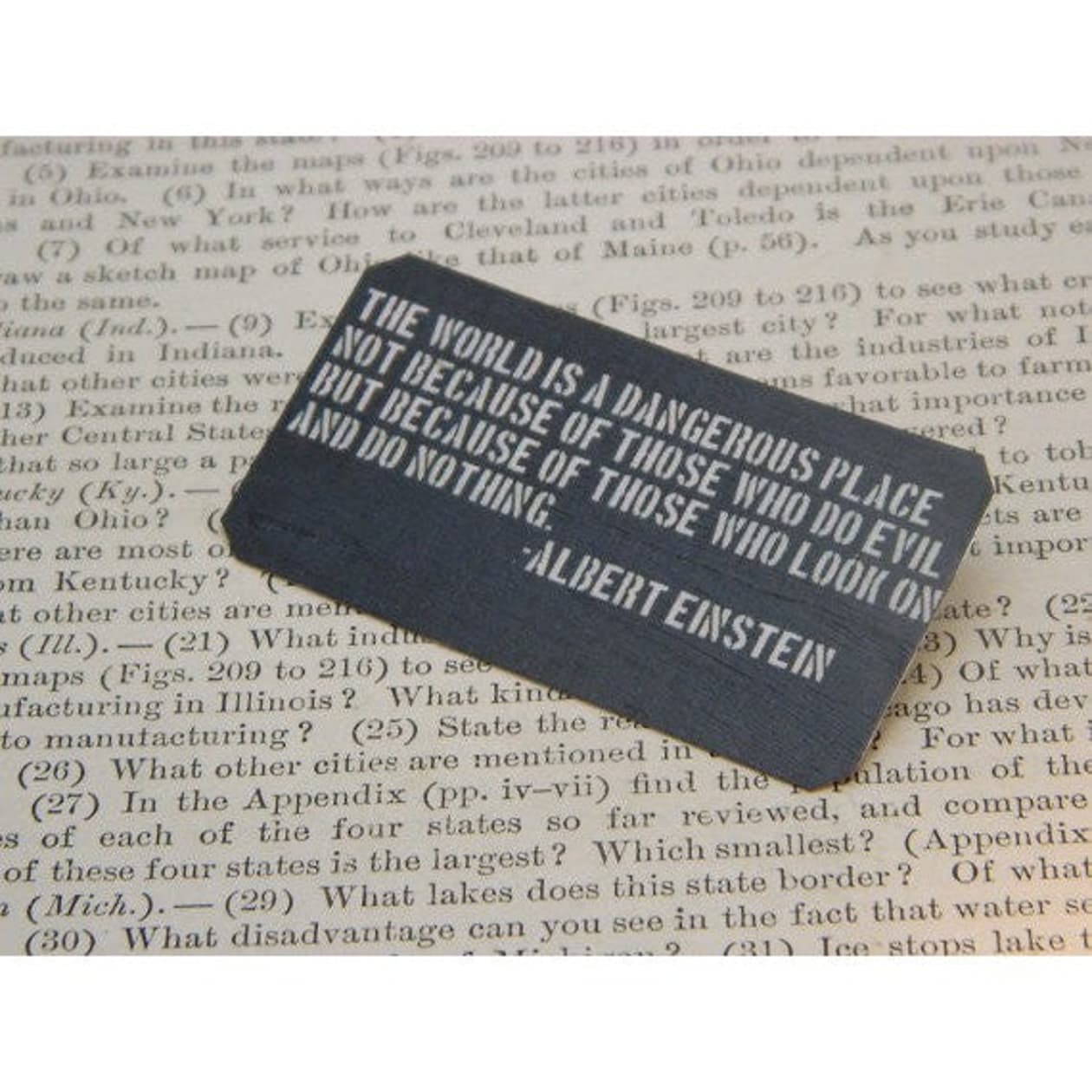 The World Is A Dangerous Place Einstein Quote Handmade Metal Pin