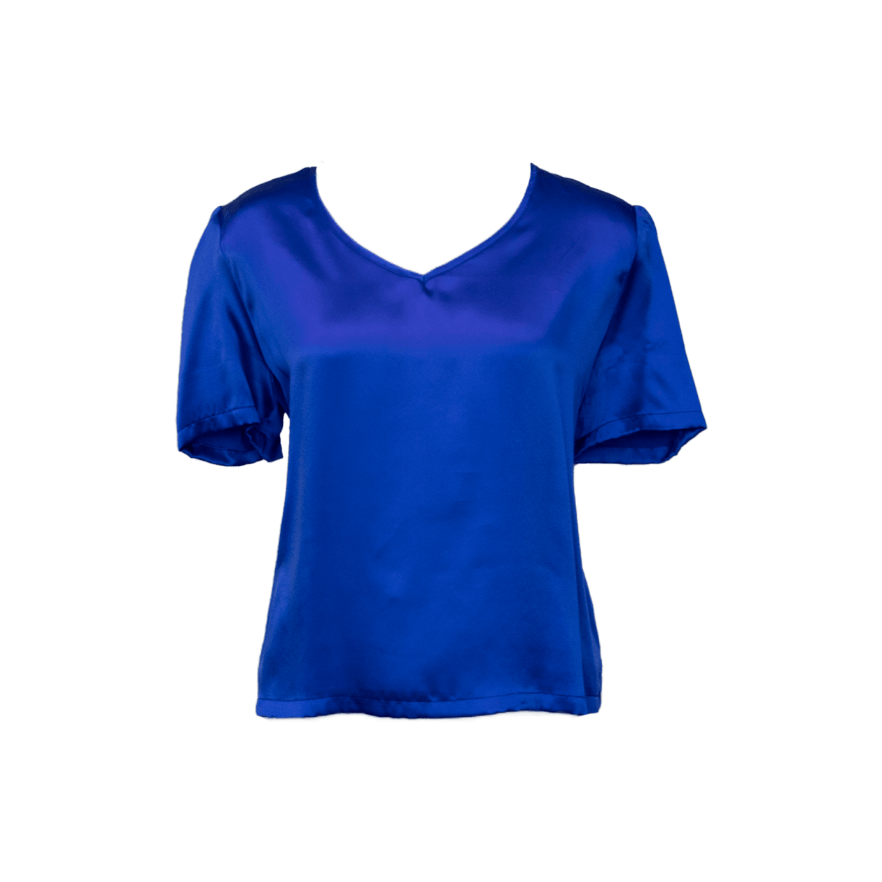 Shining V-Neck Blouse in Blue