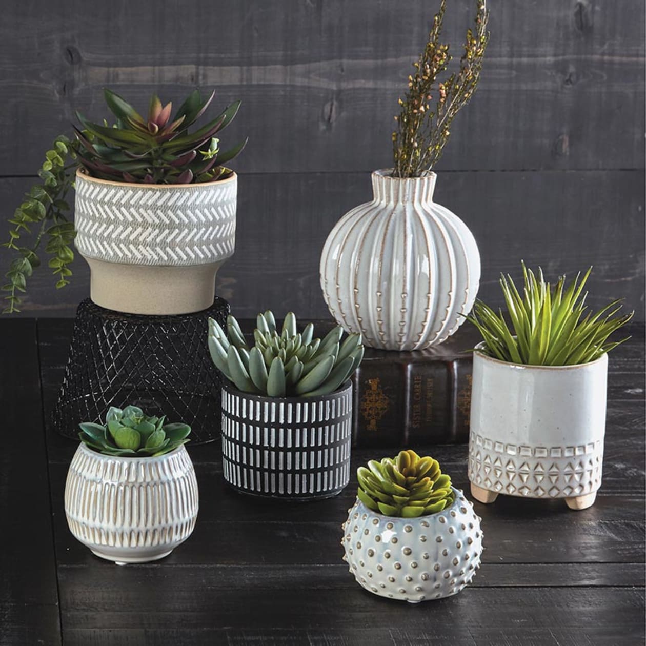 Cream Dot Pot Planter | Round Indoor Planter | Succulents, Small Plants