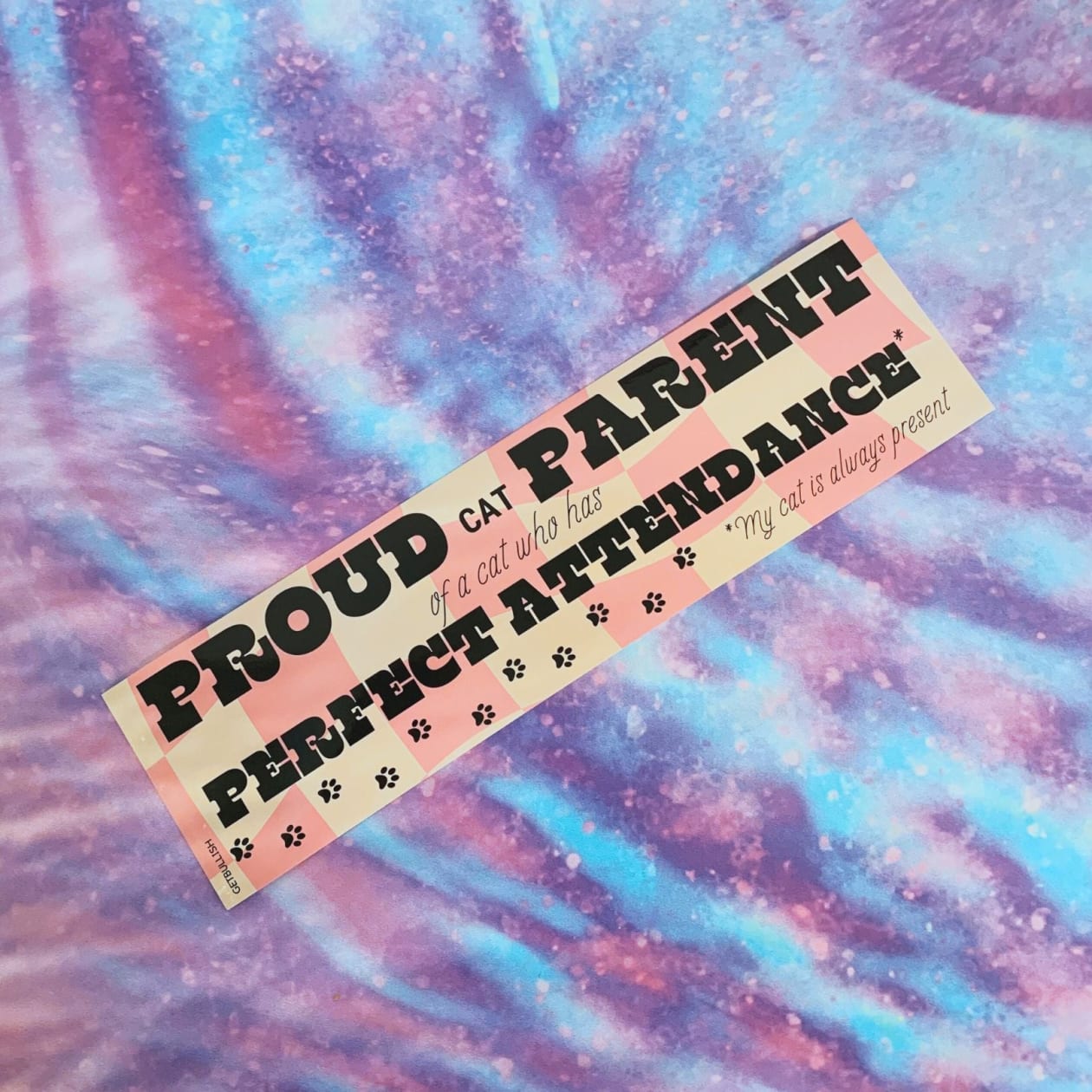 Proud Cat Parent of a Cat Who Has Perfect Attendance (My Cat Is Always Present) Bumper Sticker