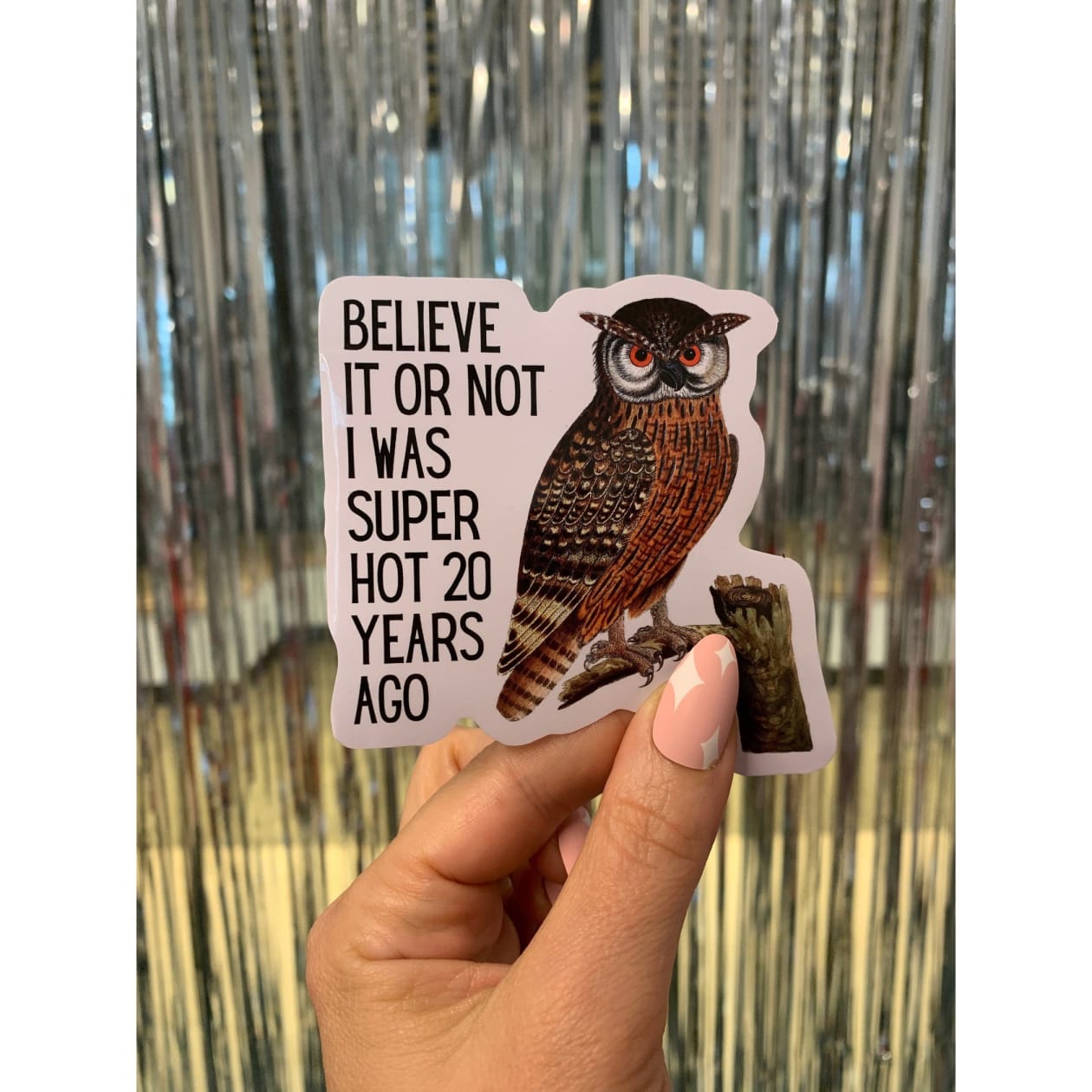 Believe It or Not I was Super Hot Owl Vinyl Sticker | Die Cut Decal