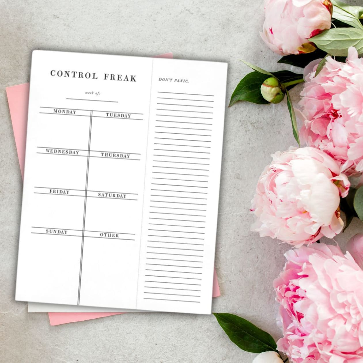 Set of 4 Copy of Control Freak Weekly List Notepad | 8.5" x 11" Desk Planner