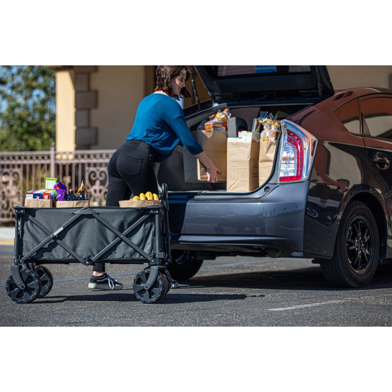 Adventure Wagon All-Terrain Portable Utility Wagon