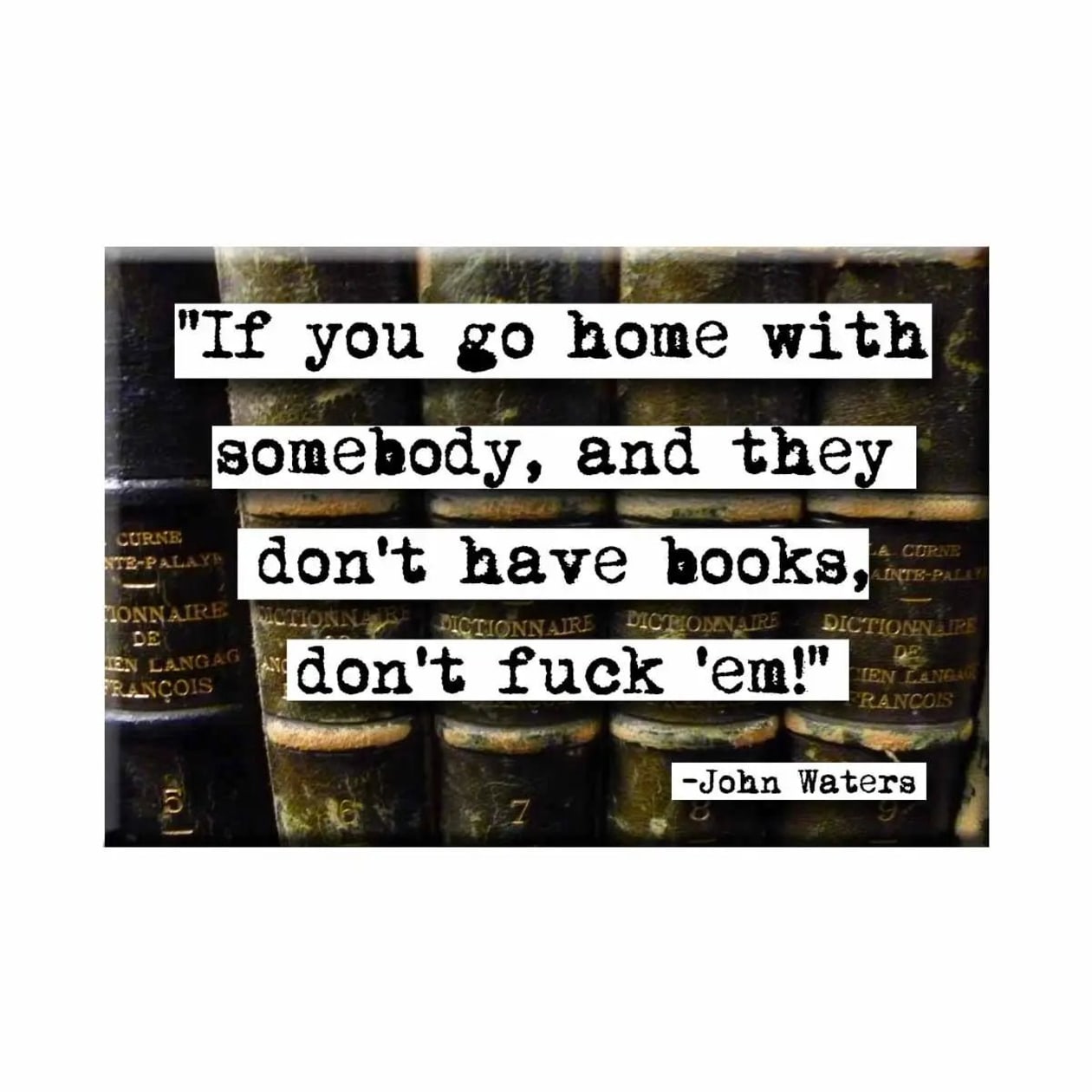 If You Go Home With Somebody And They Don't Have Books Magnet | John Waters Quote | 2" x 3"