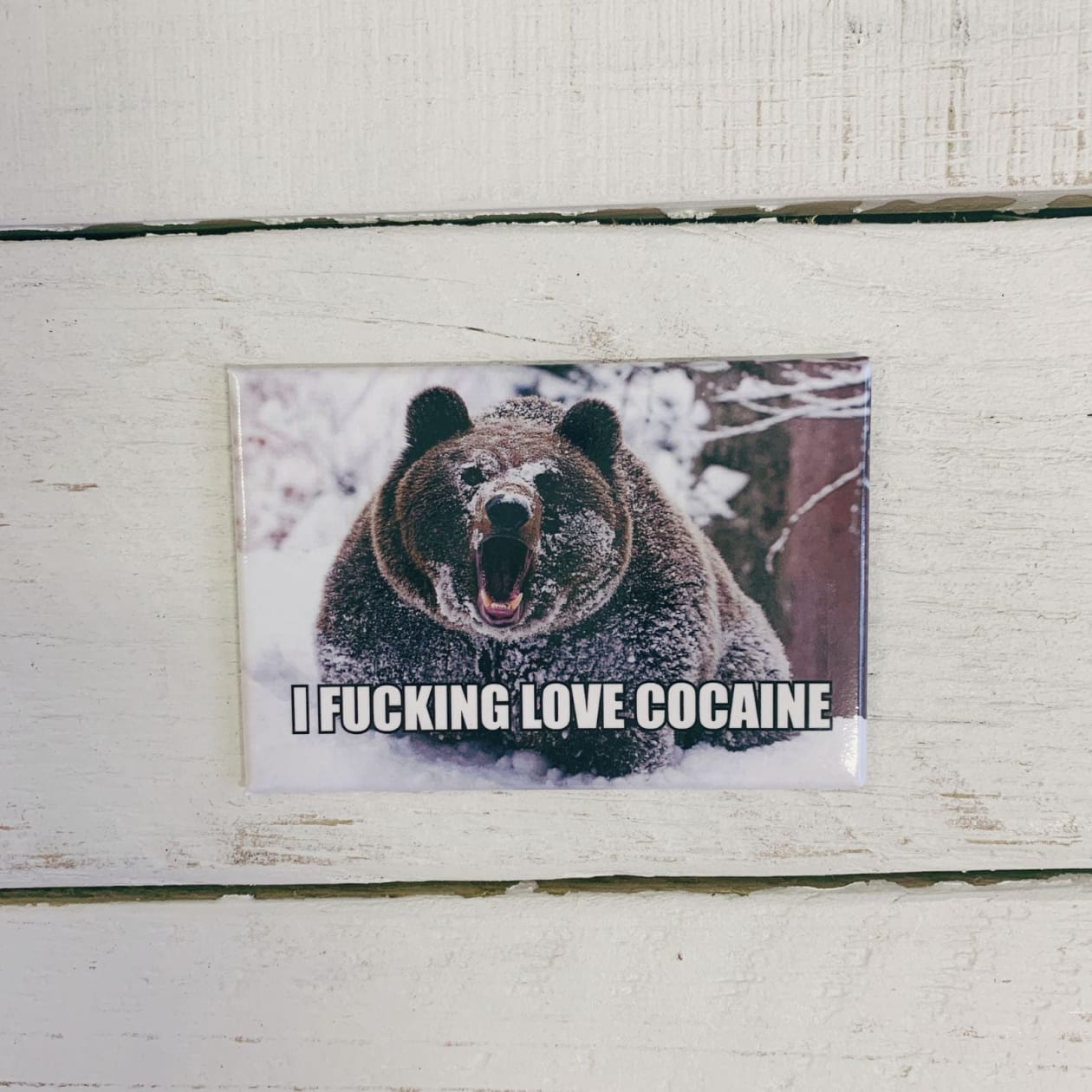 I Fucking Love Cocaine Bear Themed Fridge Magnet