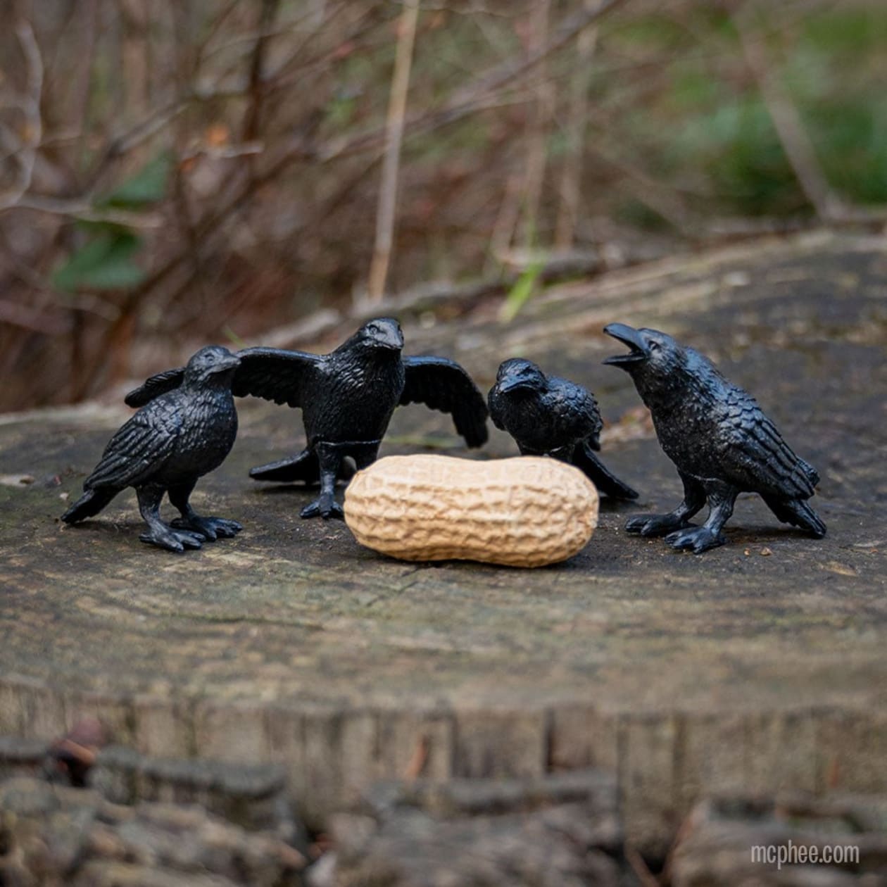 Murder of Crows Mini Figures | Set of 4 in a Funny Illustrated Box with Nest