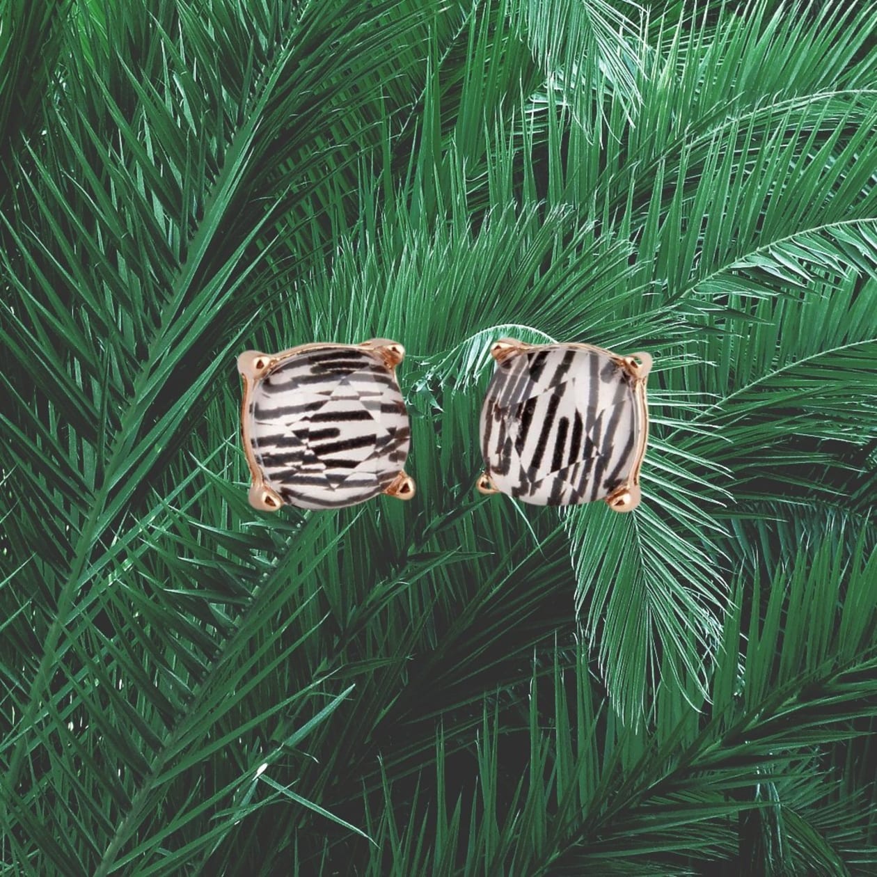 Zebra Stripes Square Stud Earrings