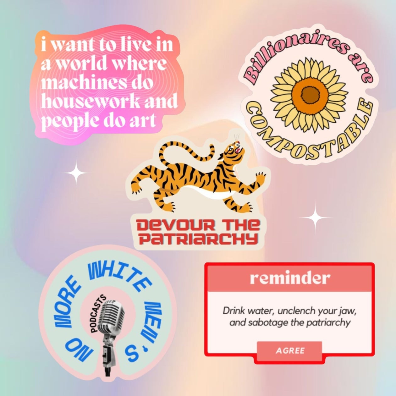 Snarky Feminist Vinyl Stickers | Weatherproof Water Bottle Decals | 5 Pack