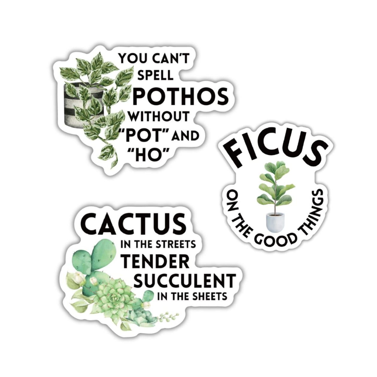 Plant Puns Sticker Bundle | Plant Lovers Vinyl Decals | 3 Designs