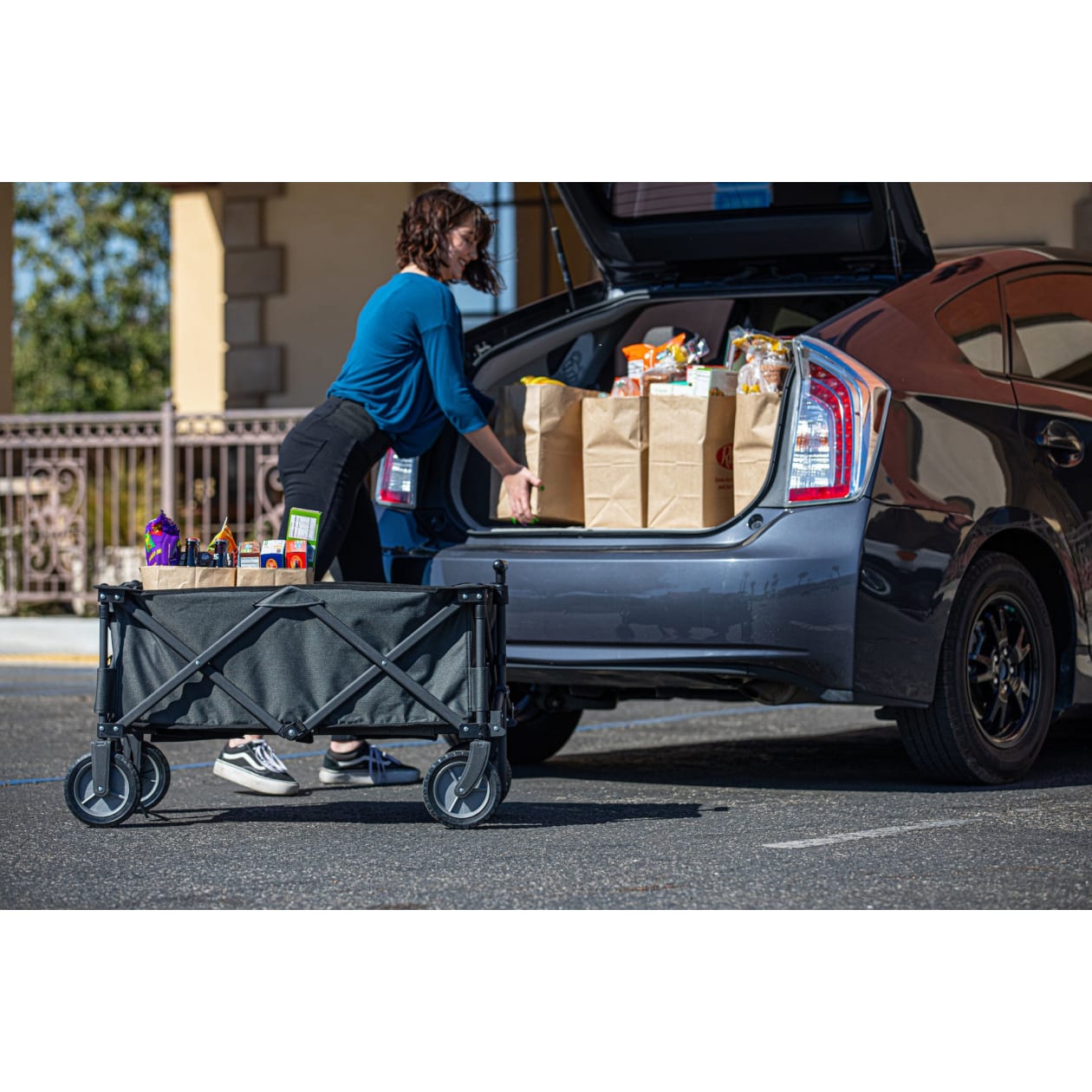 Adventure Wagon Portable Utility Wagon