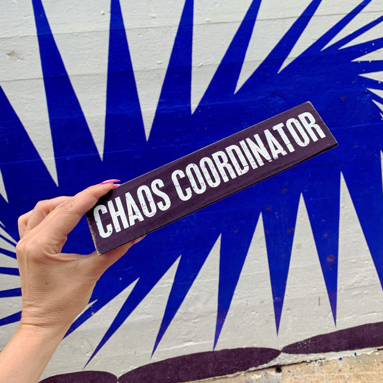 Chaos Coordinator / Director Of Sarcasm Reversible Wooden Desk Plate