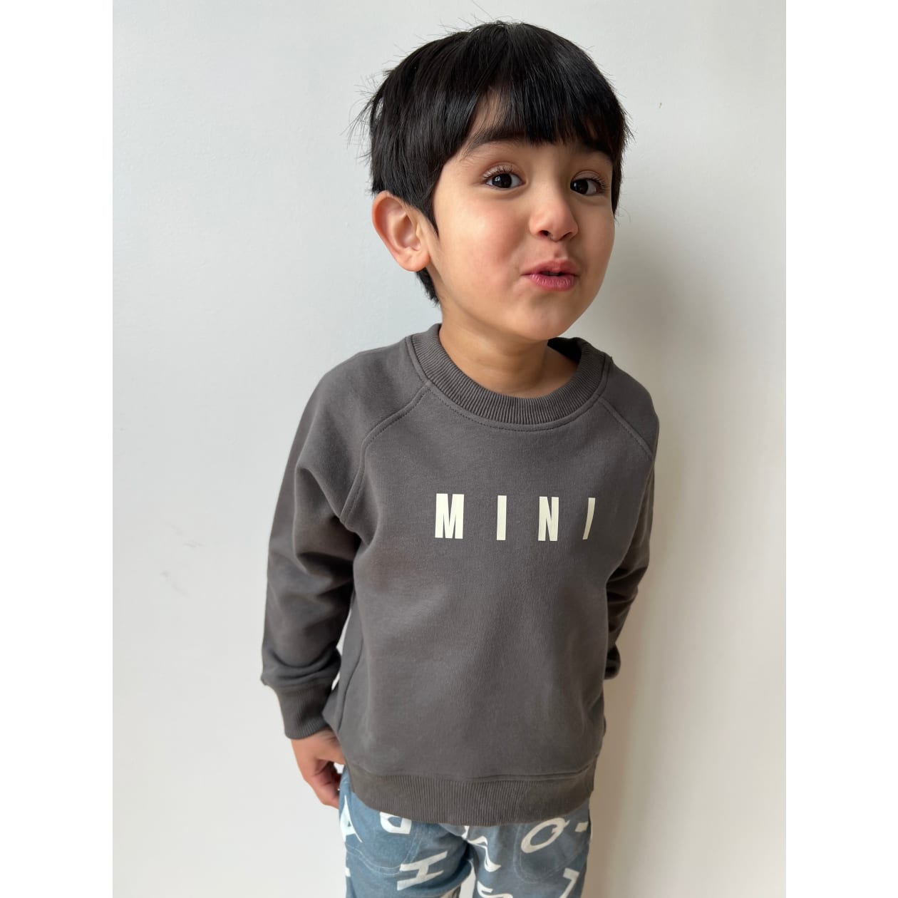 MINI Sweatshirt Dark Gray