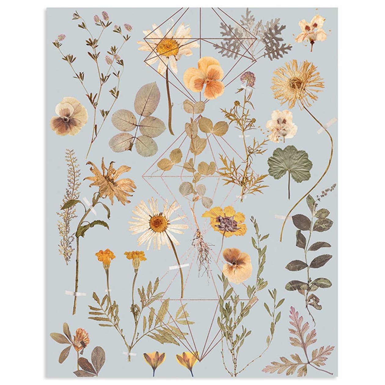 Golden Garden 11" x 14" Art Print | Copper Details | Unframed