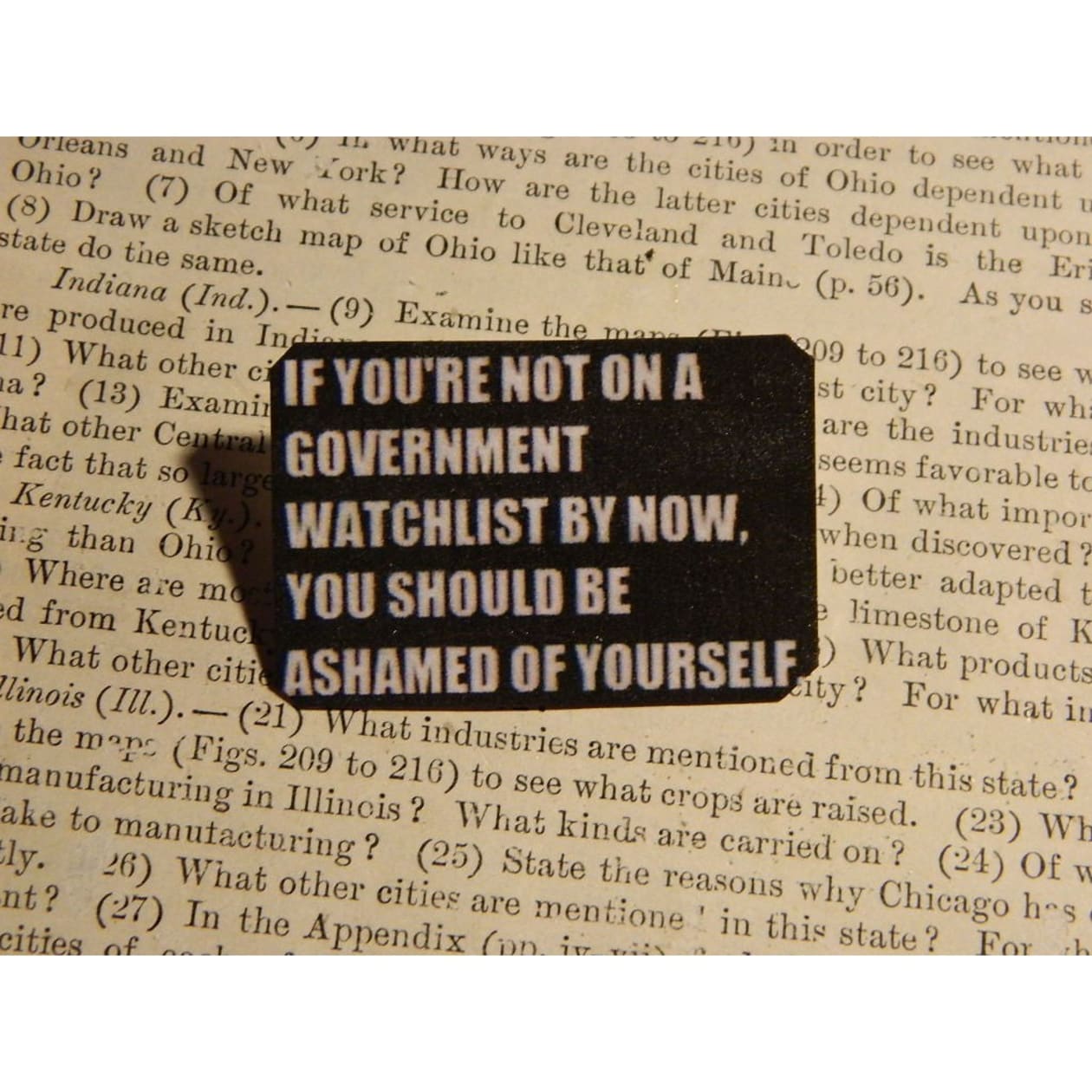 If You're Not on a Government Watchlist by Now Handmade Tin Pin in Black and White