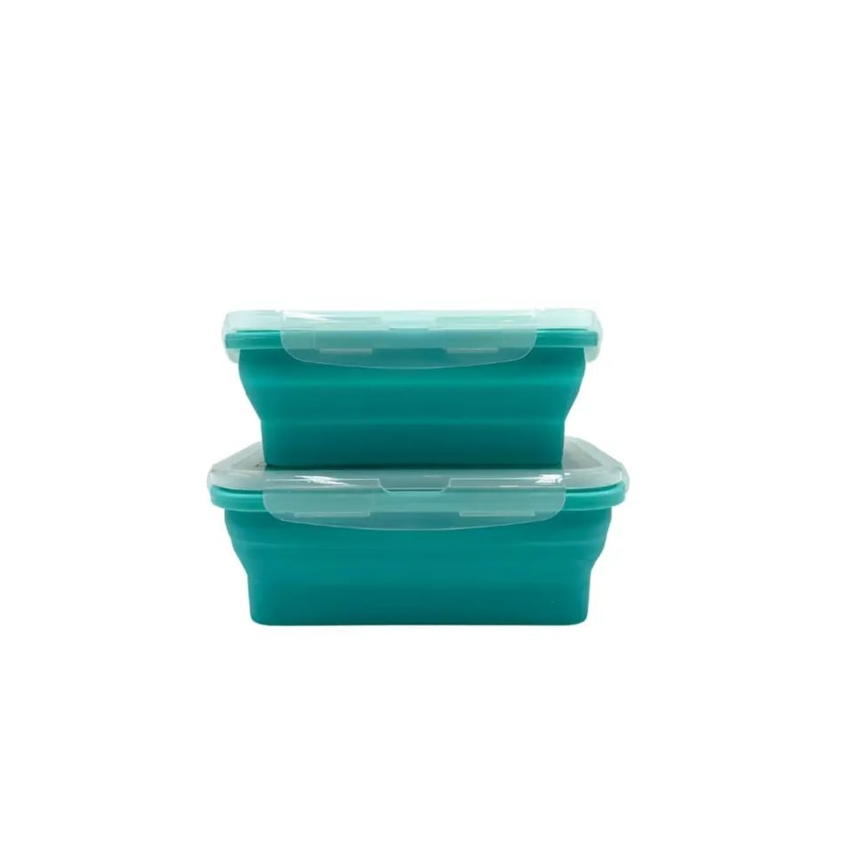 Set of 2 Broke Ass Leftovers Container Set | Collapsible Silicone Food Storage | Smartass & Sass at GetBullish