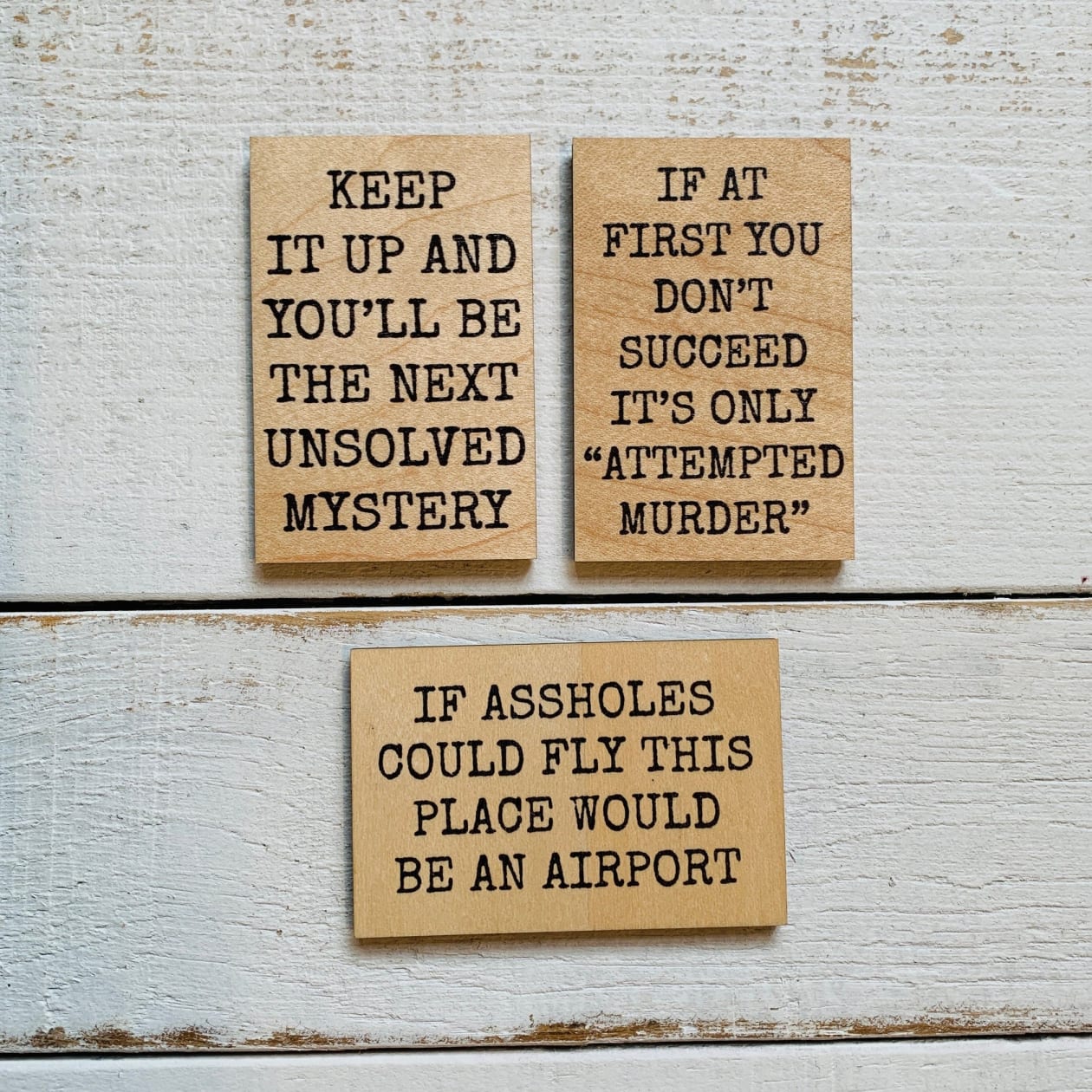 If Assholes Could Fly This Place Would Be An Airport Funny Wood Refrigerator Magnet | 2" x 3"